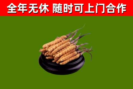 双台子区烟酒回收冬虫夏草.jpg