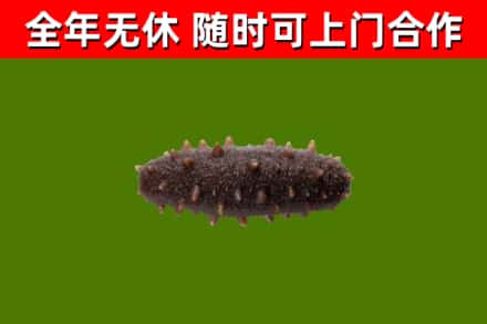 双台子区烟酒回收干海参.jpg